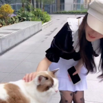 玩猫遇到小姐姐怎么说,邂逅猫咪与小姐姐的欢乐时光