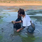 鱼塘的小姐姐,揭秘网络红人的魅力与影响力