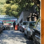 入口写真贴,一窥视觉艺术之美