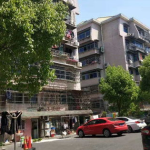 孙桥网红,揭秘网络红人的魅力与影响力
